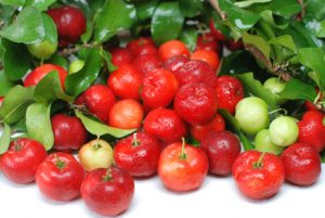 acerola-300x201 عنبية حادة الخباء و ملبيغيا جرداء (التوت البري و الكرز الهندي): معجزات فواكه الطبيعة