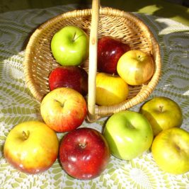 التفاح و فوائده