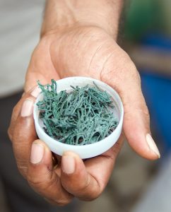 spiruline-242x300 لماذا سبيرولنا، هل تعتبر كغذاء المستقبل؟