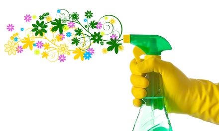 produits-chimiques كيفية تنظيف منزلكم؟ نصائح و أفكار طبيعية