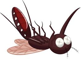 stop-moustiques-250x250 البعوض: الحماية الكاملة مع الفانوس المضاد للبعوض THERMACELL
